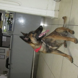 D 2c6c75d6 1a46 46e0 a19b 149108106094