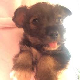 D 30ca0dfd 51a1 4018 b056 831e25bc28d2