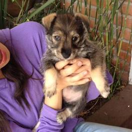 D 0b00d5ff 4e5f 4312 ad66 5db58512351a