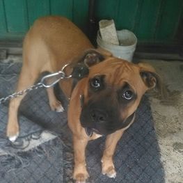 D 349e2675 8a3c 41c7 8f1a 1e8d13b216d8