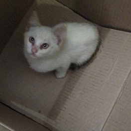 D a5bd3e40 c241 49b8 affd 8bbda0d8faaf