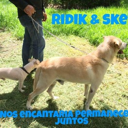 D ec7878d6 5dbe 4bed a67c 92365294a8bb