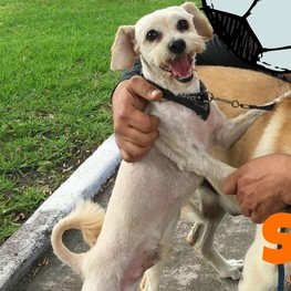 D cd751859 2d43 4c4d ba96 bbdf858daaee