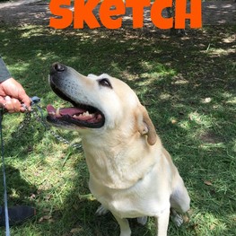 D 81b70bd5 c9f1 4079 853f c6bed56cdb45