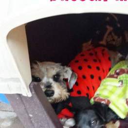 D 476840d8 ea87 460d 80b4 cc97ec6612fe