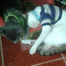 D b6e5a435 9a47 457e 85d5 5e7d9dab84af