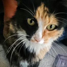 D 8837c06b 399b 47f4 b9d8 14c1133bc170