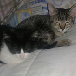 D af8a6ec8 06a4 484b 8ef3 e922f953af2f