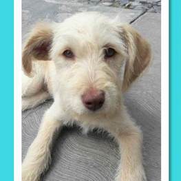 D fc81ba8b 808d 43c0 bddb 4a0e8731e277