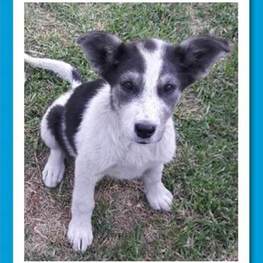 D 1f27b50a abdb 4ce0 a486 9070f7914cc6