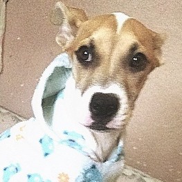 D 8504e1ba 05bc 4b88 8892 34b5e38000c0