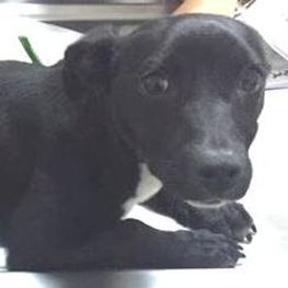 D 1187ebca 1c0b 45f3 bc40 26a1e4272476