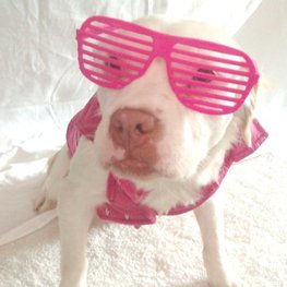 D 193ba821 d748 485d 92ef 426522515def