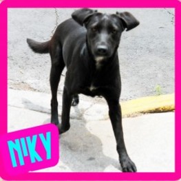 D d96df190 533e 4aae 9e67 046a4ca7ce94