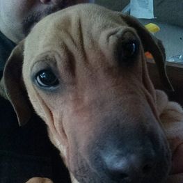 D 5b163d90 e283 469a b9af d29442ec0e10