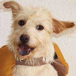 D 9d9f2a5b 1607 4b27 8aa3 6897370fb8a2