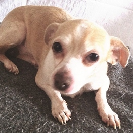 D 9ddccbca 38c6 4b9b b6ad 0f6fcb7025d6