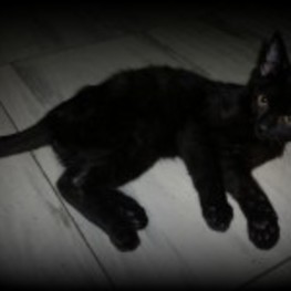 D 8c127876 db2d 4671 a364 e9d47ab5cb1a