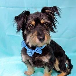 D a21c81b0 9db9 4b28 ad99 e6c0e6883eb9