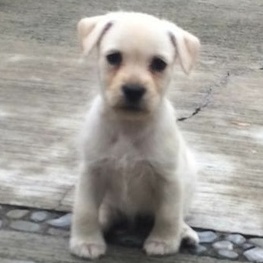 D 616ccb63 9241 43e5 8091 bb5a8041537c