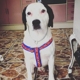 D 3b0f5c0c 833a 4b51 b9f5 4ad3631c9f09