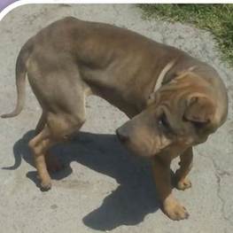 D d34fc6be 01e8 4521 9857 318478c3e5f0