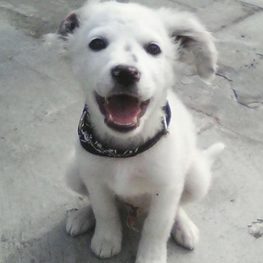 D 6b5c9a48 560d 4b06 ab5e 8c309af08b96