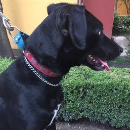 D 3cb76a04 3d0f 4ee4 a856 cd7abf7c41f1