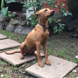 D dce49a1e aa21 4d81 85dd 2541908867ff