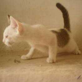 D b695cd5f 1535 487d a6d4 9afce05052e2