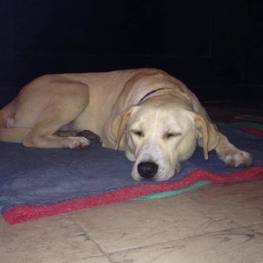 D 745b3e44 cb8b 4407 b576 2a911b9831a1