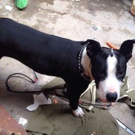 D ecf827d3 2678 4dff a0d4 df93f24a1371