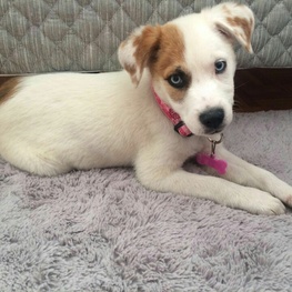 D 42ad184d 8dd8 4741 917f 0264e9dc74e3