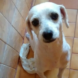 D fb567320 14f6 494b 98a6 6a6be68c261f