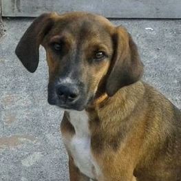 D 3259f2e3 7845 4454 a3d1 ffb1550ff434