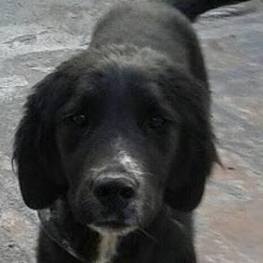 D ca58c8d2 f0b0 4cf6 9d8b 08293c859d1d