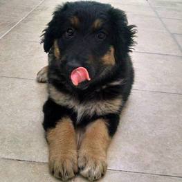 D a2cfab56 2b57 492d 9bb2 68329ff2401d