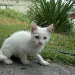 D f8827299 074a 4502 8b8e fc4e081e53c6