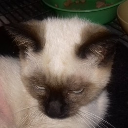 D c79cc742 d380 4582 9aa1 de2abb2117c9