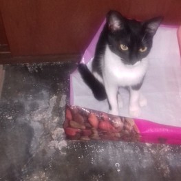 D dfffaf98 3d90 4954 92a8 7b62b69d633b