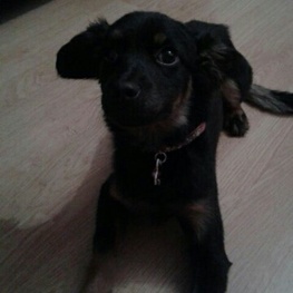 D de7deb18 ea27 433a aba9 6ed55f0b30bc