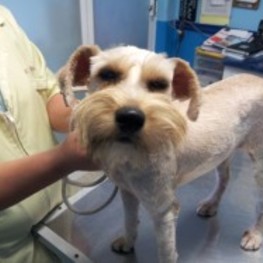 D b33e31ff b8a6 4f41 92b9 a18df0c26220