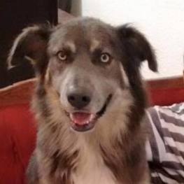 D 8582faa8 a80e 4434 be75 b76cf3948e9d