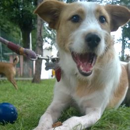 D 28cd2e28 6659 4519 b8fb 4ace918abc48