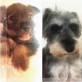 D f2e03d99 5d6b 4692 b4e7 cd68f30b458f