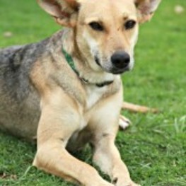 D 93a477f7 53a1 4d95 b164 75271307a3b3