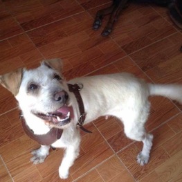 D 45b68bd8 1c3e 4f35 999c b9afa5484995