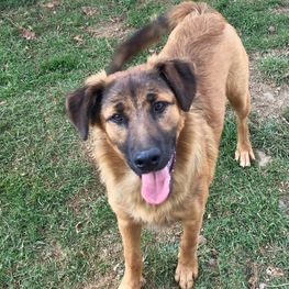 D dd690fac 32f9 4f3f 8c1b 5813d0e3d2ce