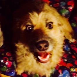 D 8404046c 4a7e 43dc 9627 8530a3bdb3da