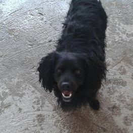 D cc66b24b 8886 498e 90f5 6b580172a63f